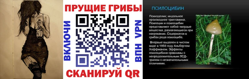 МЕГА сайт  цены наркотик  Анапа  Галлюциногенные грибы Cubensis 